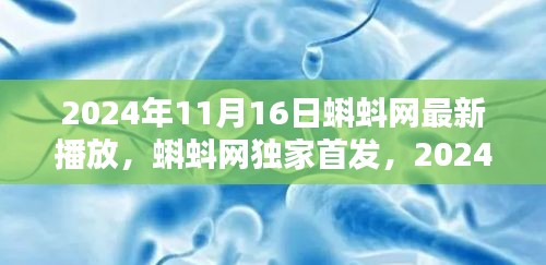 蝌蚪网独家首发，2024年11月16日精彩节目一览