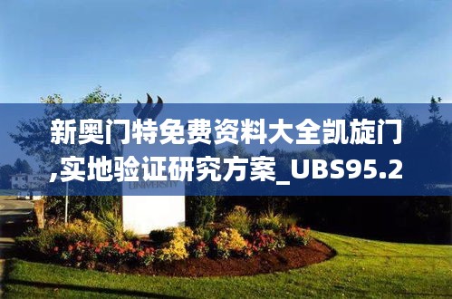 新奥门特免费资料大全凯旋门,实地验证研究方案_UBS95.264图形版