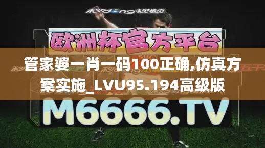 管家婆一肖一码100正确,仿真方案实施_LVU95.194高级版