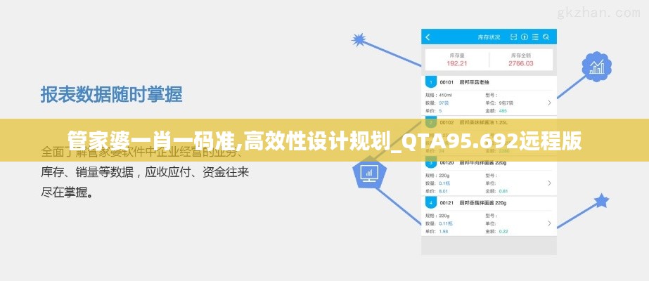 管家婆一肖一码准,高效性设计规划_QTA95.692远程版