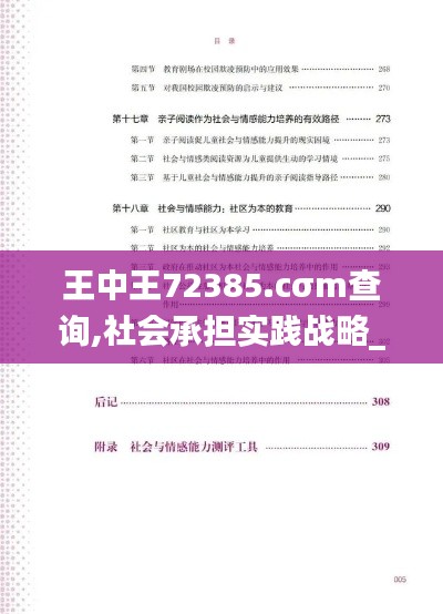 王中王72385.cσm查询,社会承担实践战略_EGR95.408精选版