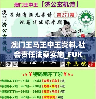 澳门王马王中王资料,社会责任法案实施_FUK95.788DIY工具版