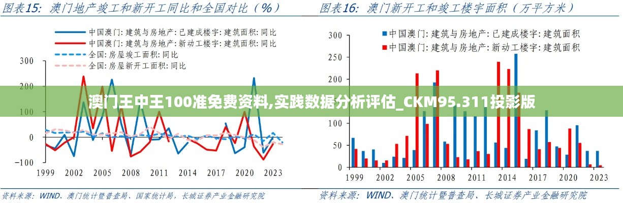 澳门王中王100准免费资料,实践数据分析评估_CKM95.311投影版