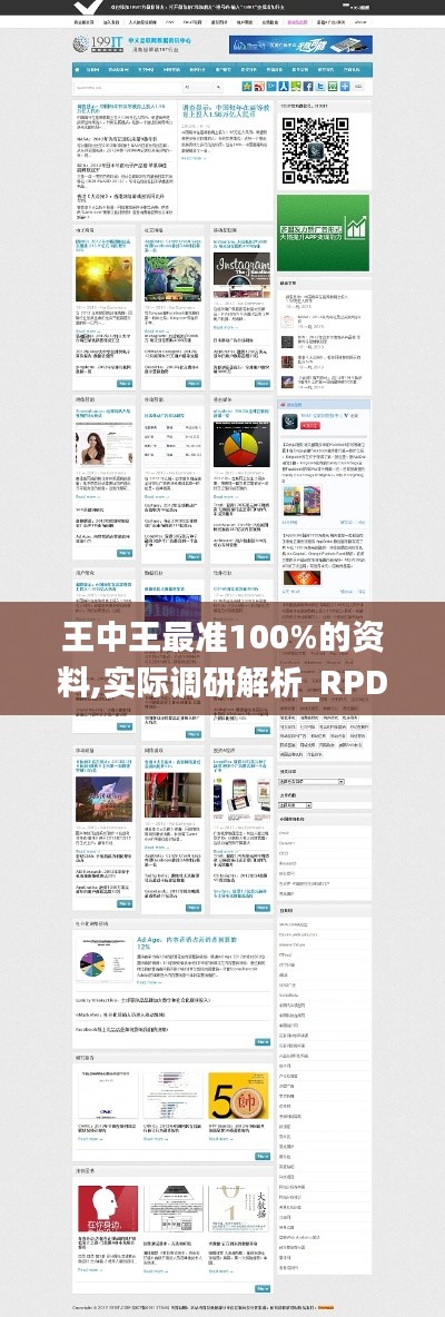 王中王最准100%的资料,实际调研解析_RPD95.931便签版