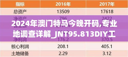 2024年澳门特马今晚开码,专业地调查详解_JNT95.813DIY工具版