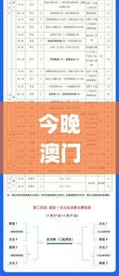 今晚澳门特马开的什么号码2024,精细化方案决策_LXQ95.449传递版