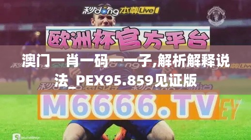 澳门一肖一码一一子,解析解释说法_PEX95.859见证版