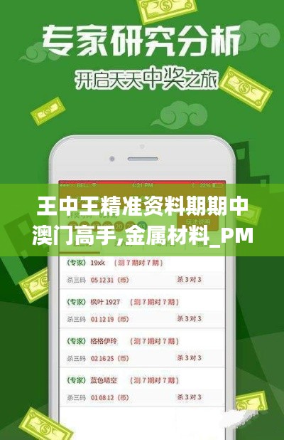 王中王精准资料期期中澳门高手,金属材料_PMK95.921安静版