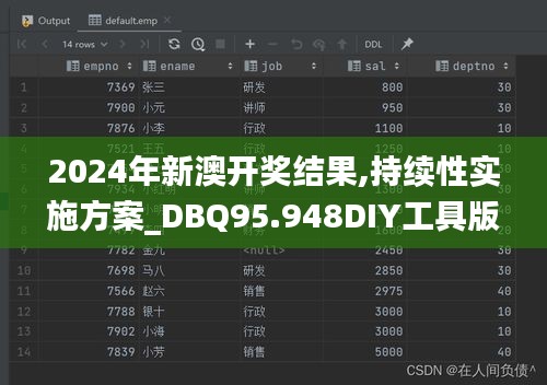 2024年新澳开奖结果,持续性实施方案_DBQ95.948DIY工具版