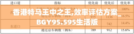 香港特马王中之王,效率评估方案_BGY95.595生活版