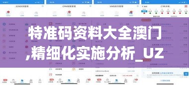 特准码资料大全澳门,精细化实施分析_UZR95.560线上版