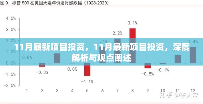 11月最新项目投资深度解析与观点阐述