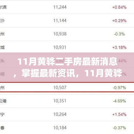 11月黄骅二手房市场动态详解，最新消息、购房指南与资讯掌握