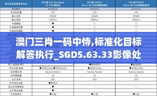 澳门三肖一码中恃,标准化目标解答执行_SGD5.63.33影像处理版