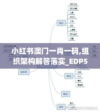 小红书澳门一肖一码,组织架构解答落实_EDP5.29.34职业版