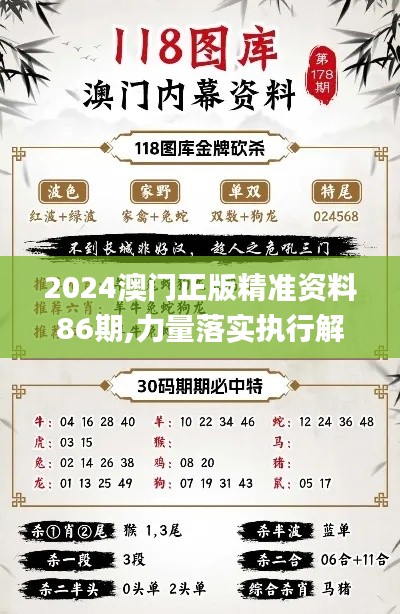 2024澳门正版精准资料86期,力量落实执行解答_DPR5.26.27史诗版