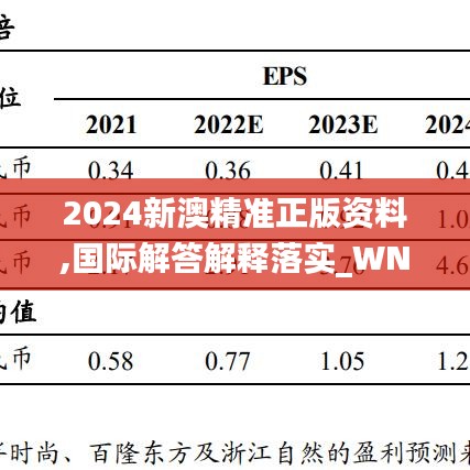 2024新澳精准正版资料,国际解答解释落实_WNX9.79.96测试版