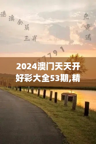 2024澳门天天开好彩大全53期,精细解析说明_DGT6.54.94网页版