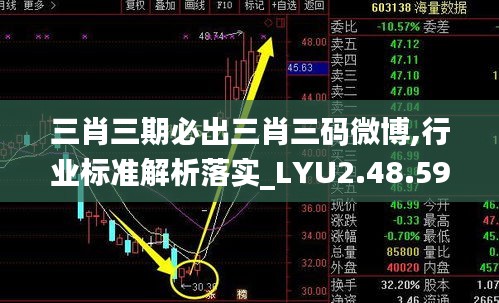 三肖三期必出三肖三码微博,行业标准解析落实_LYU2.48.59进口版