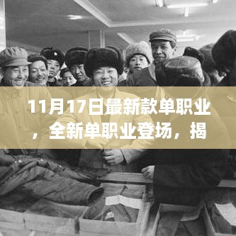 11月17日最新款单职业，全新单职业登场，揭秘11月17日最新款单职业风潮背后的故事