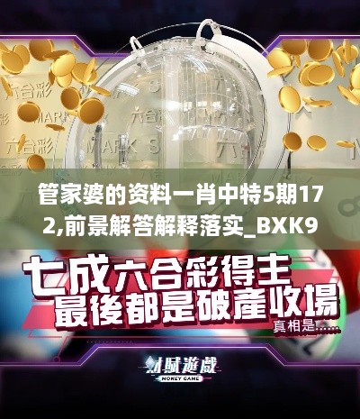 管家婆的资料一肖中特5期172,前景解答解释落实_BXK9.72.38互动版