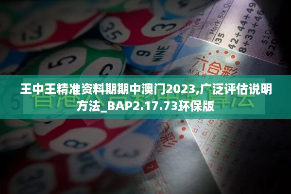 王中王精准资料期期中澳门2023,广泛评估说明方法_BAP2.17.73环保版