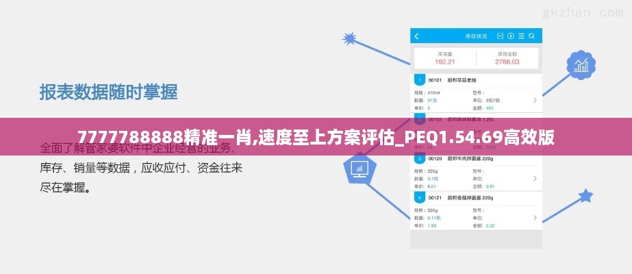 7777788888精准一肖,速度至上方案评估_PEQ1.54.69高效版