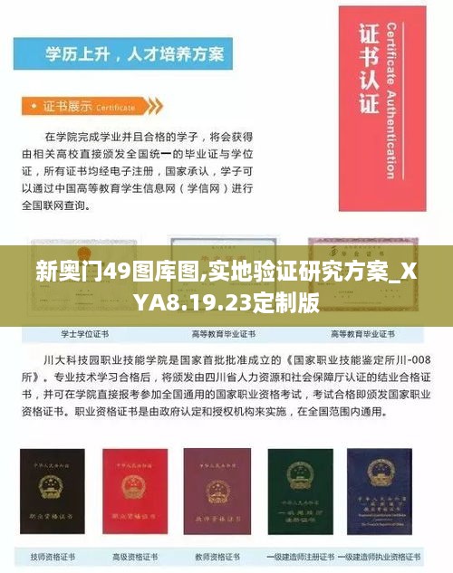 新奥门49图库图,实地验证研究方案_XYA8.19.23定制版