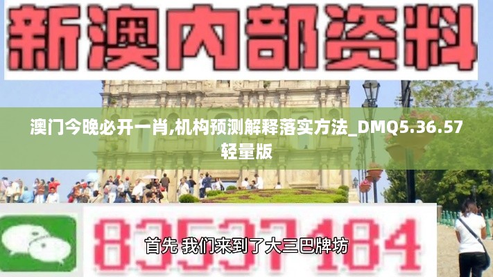 澳门今晚必开一肖,机构预测解释落实方法_DMQ5.36.57轻量版