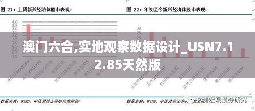 澳门六合,实地观察数据设计_USN7.12.85天然版