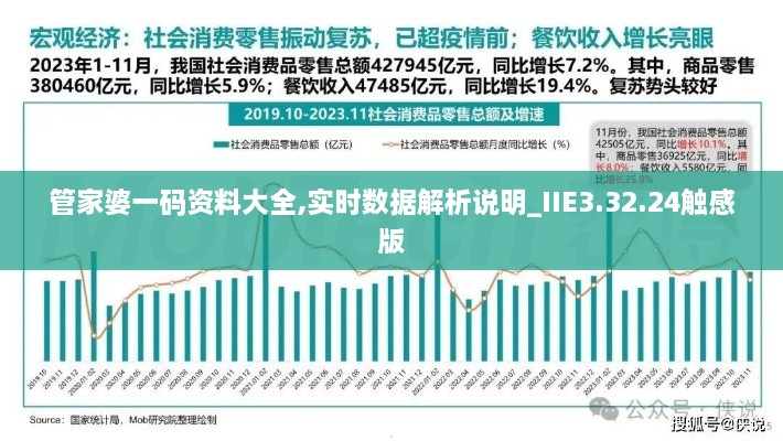 管家婆一码资料大全,实时数据解析说明_IIE3.32.24触感版