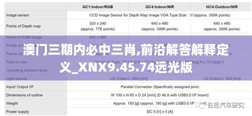 澳门三期内必中三肖,前沿解答解释定义_XNX9.45.74远光版