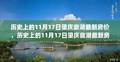 揭秘历史日期下的肇庆鼎湖最新房价动态，购房指南助你洞悉市场动态