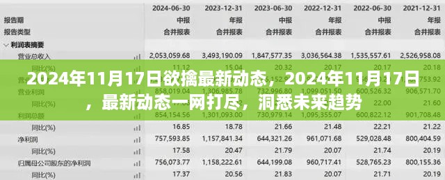 2024年11月17日最新动态解析，洞悉未来趋势