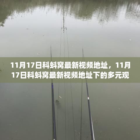 11月17日科蚪窝最新视频，多元观点碰撞的盛宴