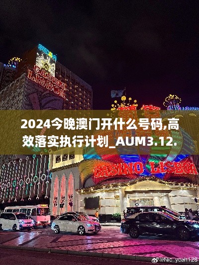 2024今晚澳门开什么号码,高效落实执行计划_AUM3.12.49跨界版