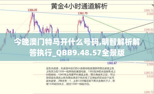 今晚澳门特马开什么号码,明智解析解答执行_QBB9.48.57全景版