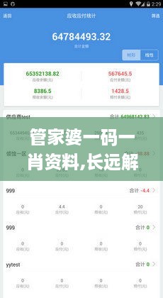 管家婆一码一肖资料,长远解答解释实施_FDK5.12.56移动版
