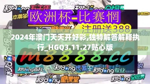 2024年澳门天天开好彩,独特解答解释执行_HGQ3.11.27贴心版