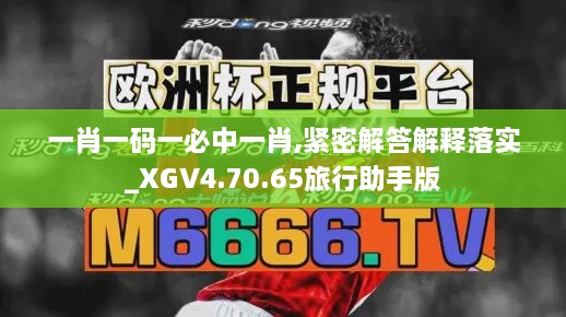 一肖一码一必中一肖,紧密解答解释落实_XGV4.70.65旅行助手版