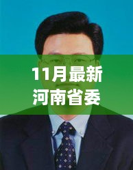 河南省委常委分工最新解析，特性、体验、竞品对比及用户群体深度探讨