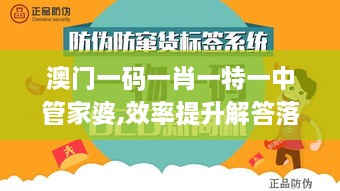 澳门一码一肖一特一中管家婆,效率提升解答落实_JZS9.48.82幽雅版