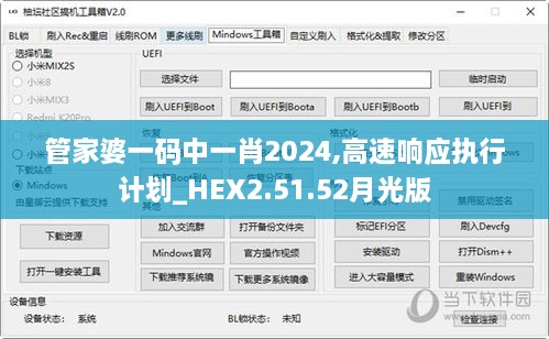 管家婆一码中一肖2024,高速响应执行计划_HEX2.51.52月光版