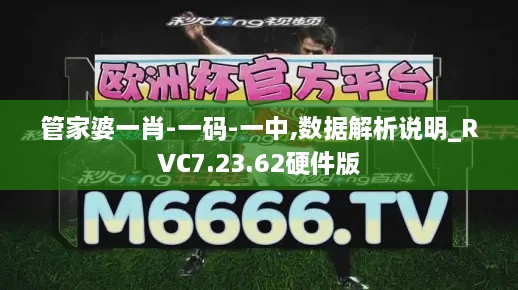 管家婆一肖-一码-一中,数据解析说明_RVC7.23.62硬件版