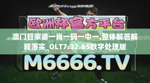 澳门管家婆一肖一码一中一,整体解答解释落实_OLT7.32.65数字处理版