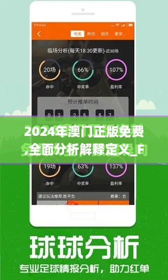 2024年澳门正版免费,全面分析解释定义_FOU4.21.35随行版