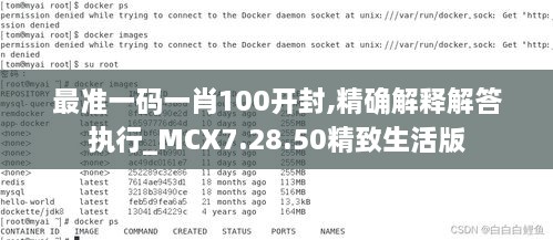 最准一码一肖100开封,精确解释解答执行_MCX7.28.50精致生活版