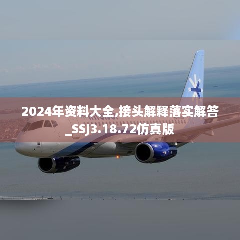 2024年资料大全,接头解释落实解答_SSJ3.18.72仿真版