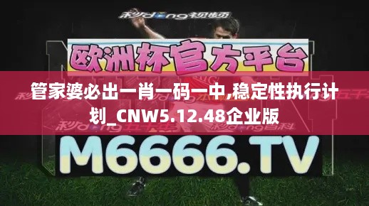 管家婆必出一肖一码一中,稳定性执行计划_CNW5.12.48企业版