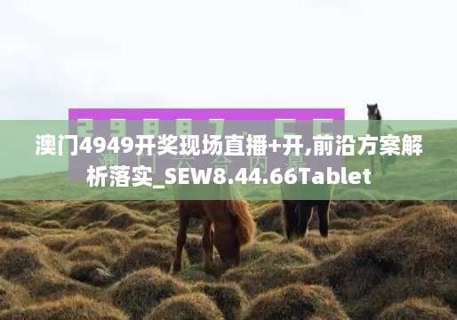 澳门4949开奖现场直播+开,前沿方案解析落实_SEW8.44.66Tablet